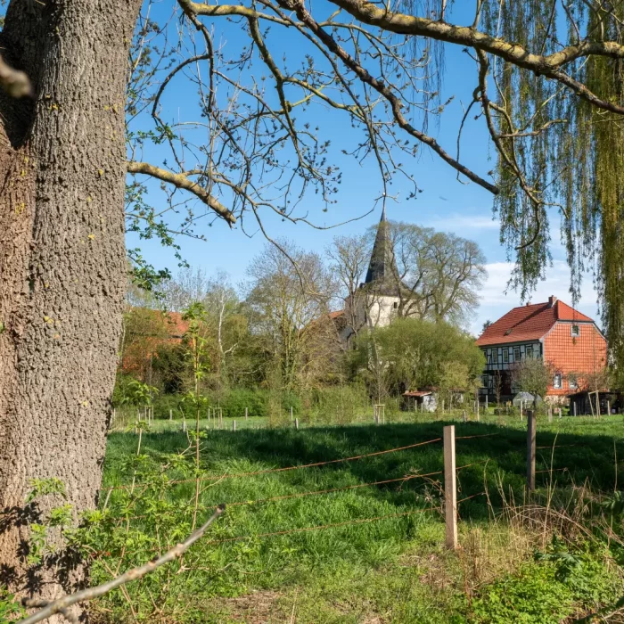 ostharingen_2024_046 ostharingen_2024_046